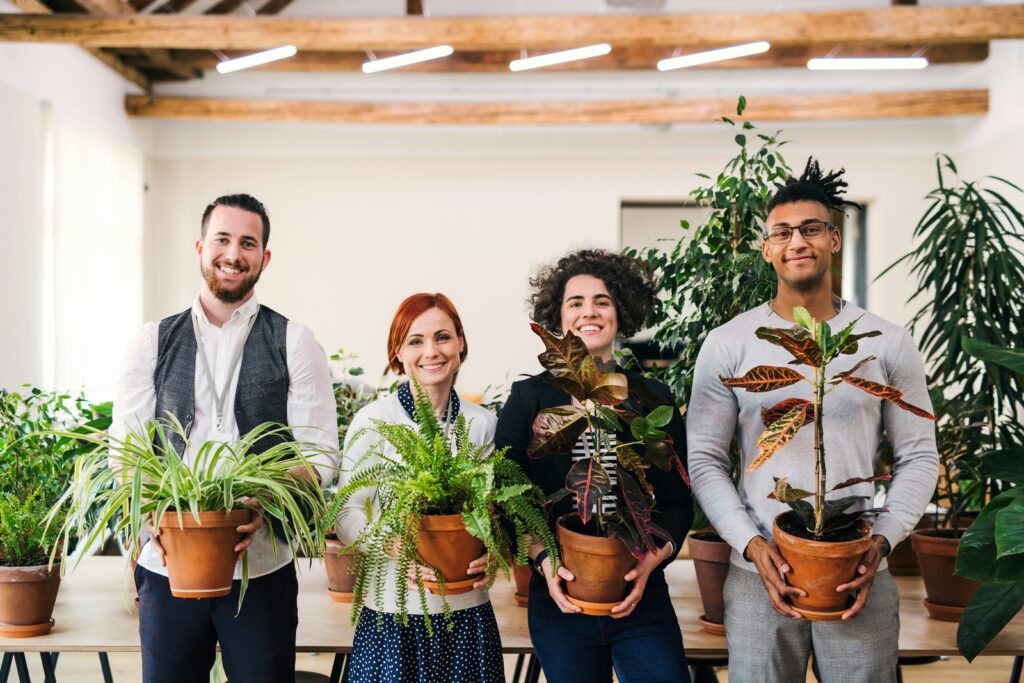 atelier diy plante